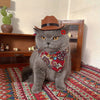 Gentle Paws™ Cowboy Hat & Scarf - Gentle Paws