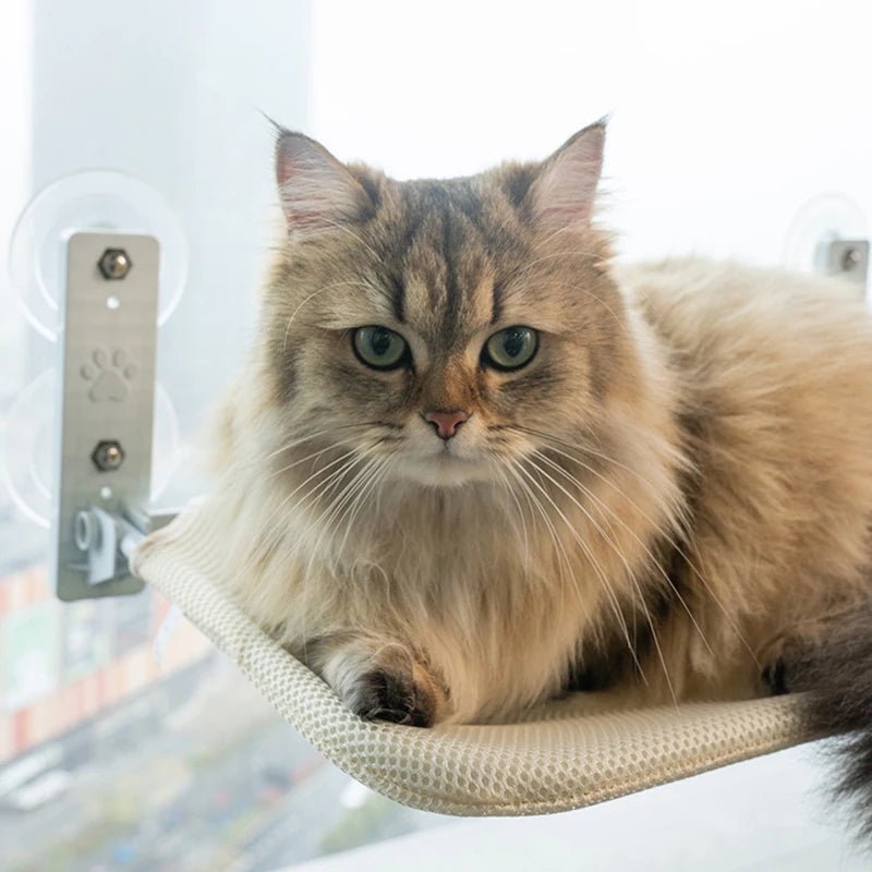 Gentle Paws™ Cat Suction Cup Window Hammock