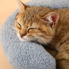 Gentle Paws™ Cozy Cat Sleeping Pillow - Gentle Paws