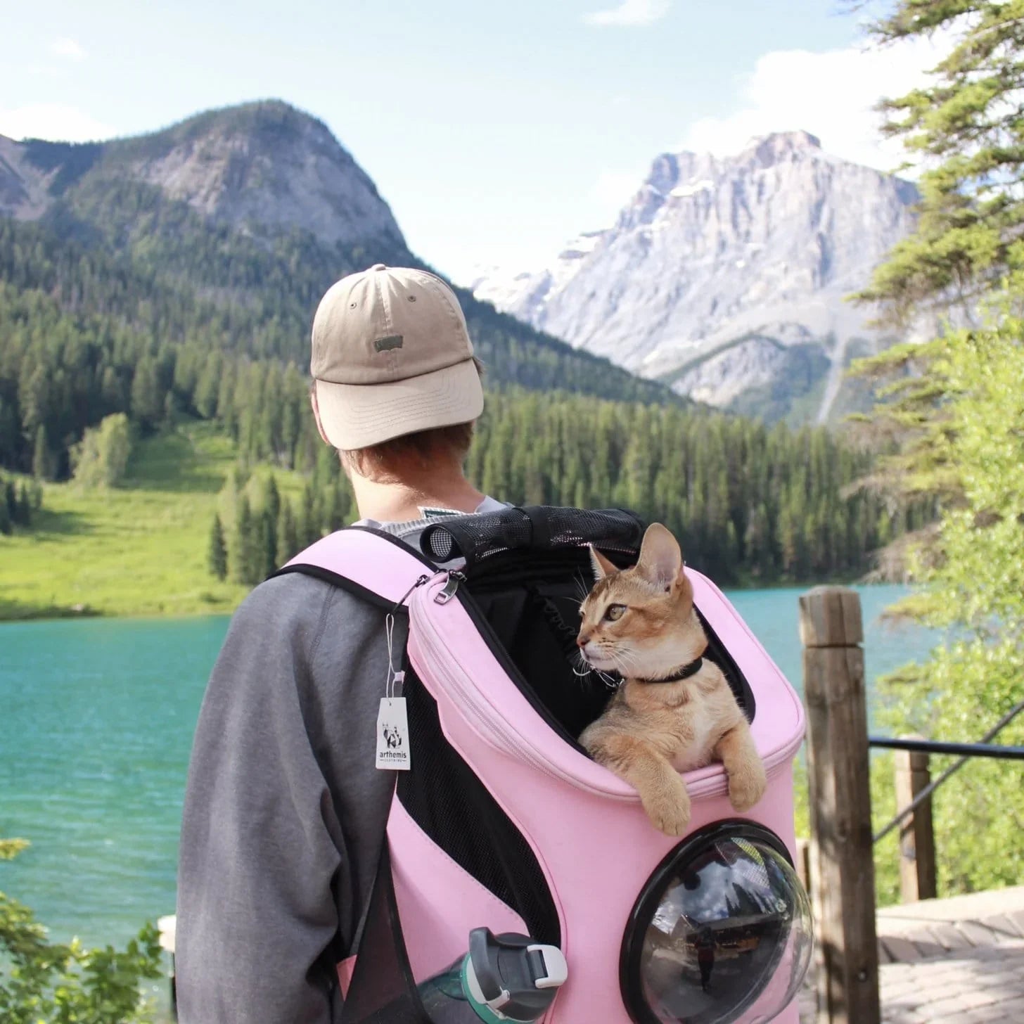 Gentle Paws™ Fat Cat Breathable Backpack