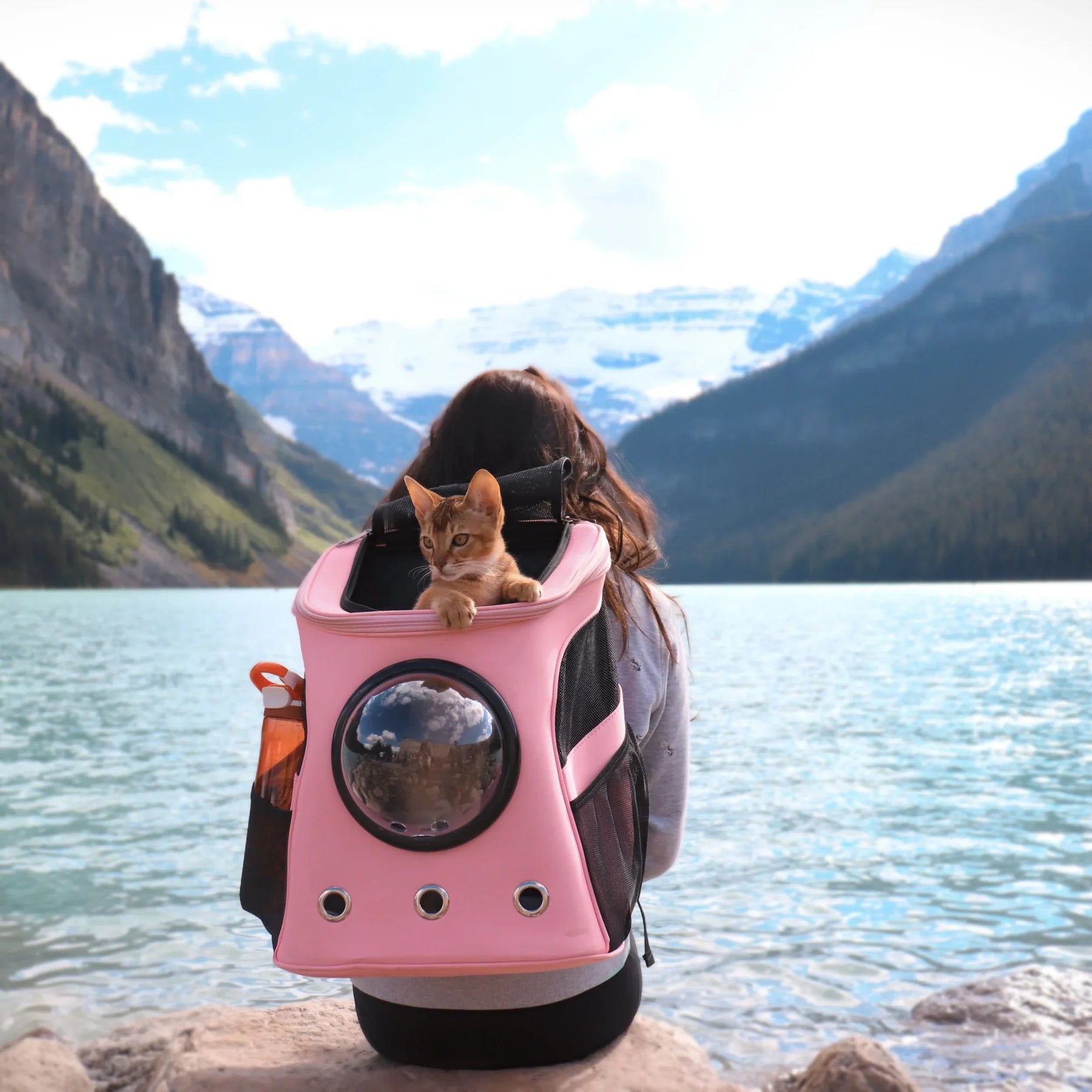 Gentle Paws™ Fat Cat Breathable Backpack