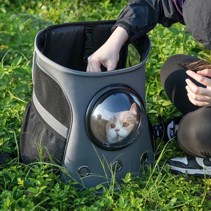 Gentle Paws™ Fat Cat Breathable Backpack