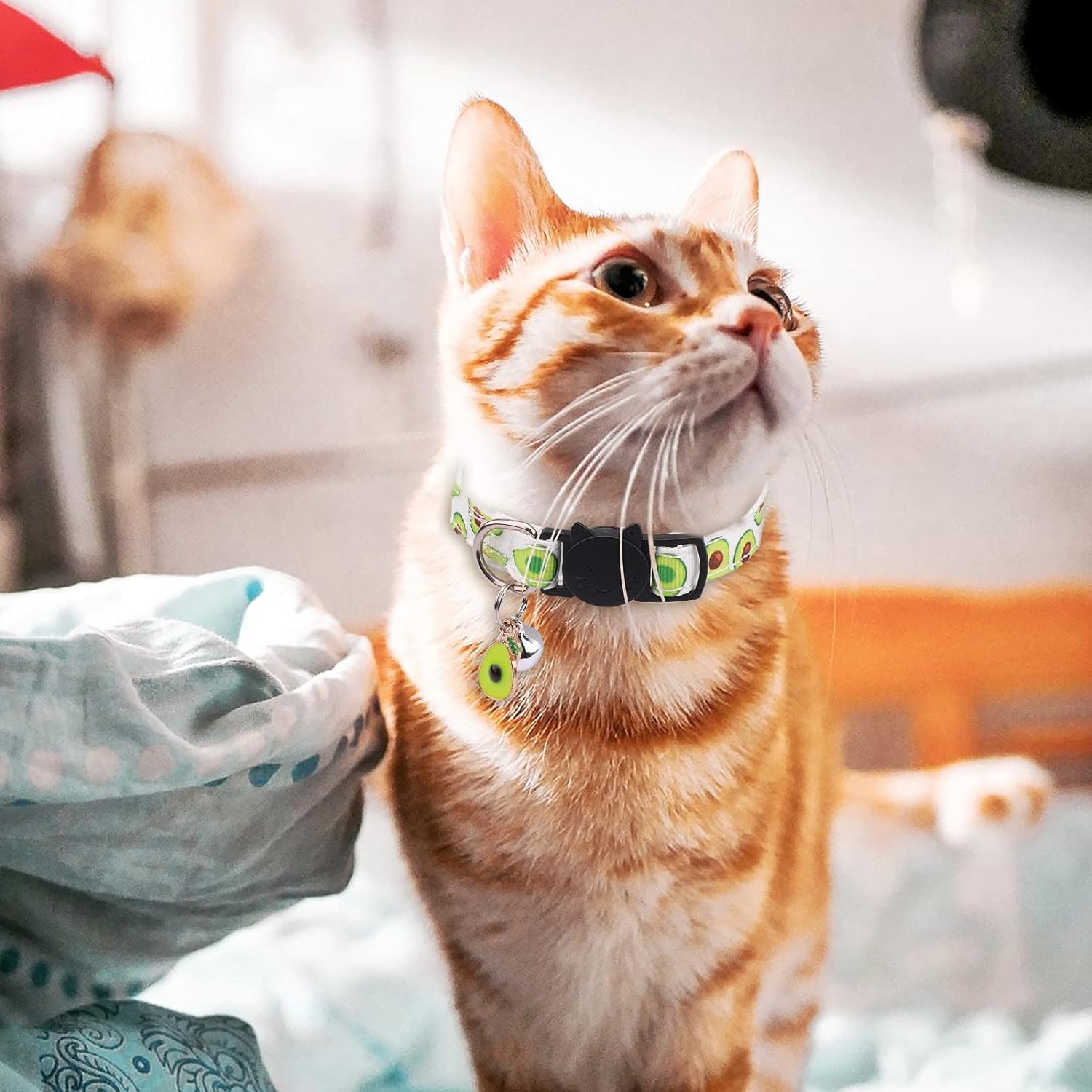 Collier pour chat fruité