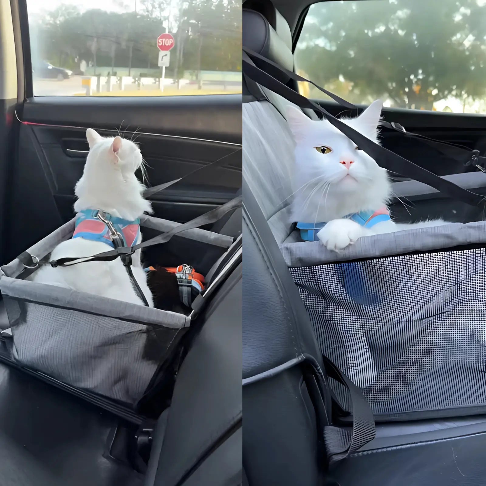 Gentle Paws™ Large Pet Car Seat