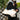 Velvet Touch Cat Carrier - Gentle Paws