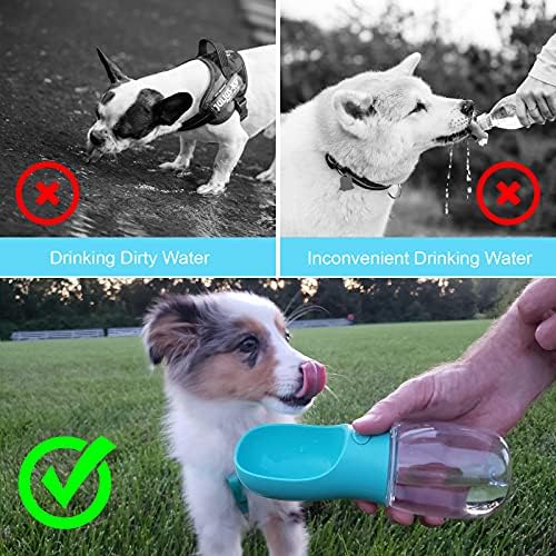 Gentle Paws™ Pet Water & Treat Bottle