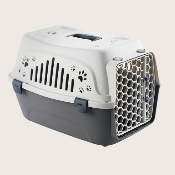 Cat plastic carrier best sale