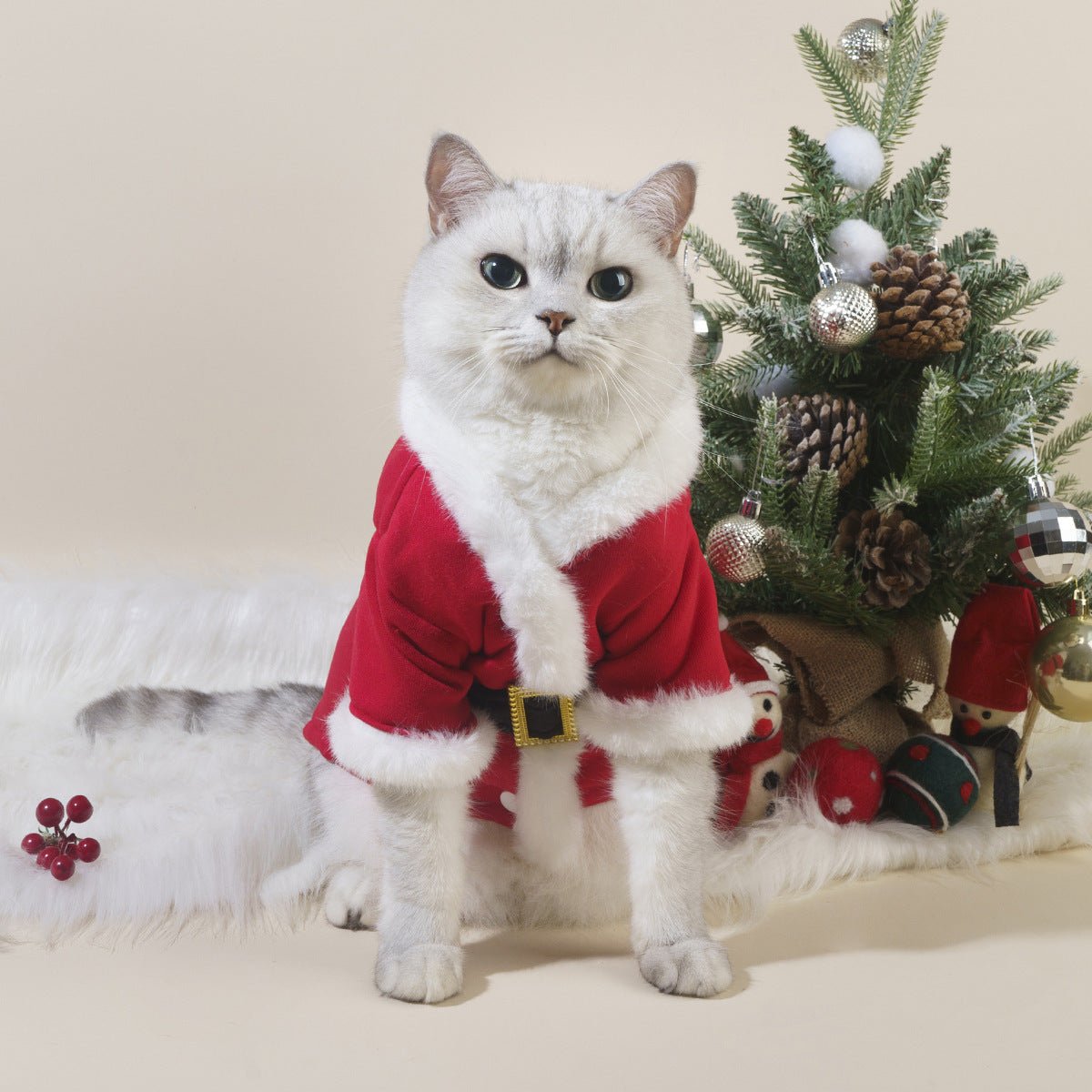 Gentle Paws™ Santa Claus Costume - Gentle Paws