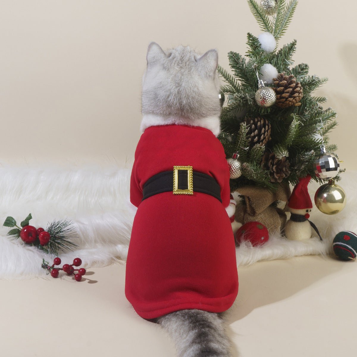 Gentle Paws™ Santa Claus Costume - Gentle Paws