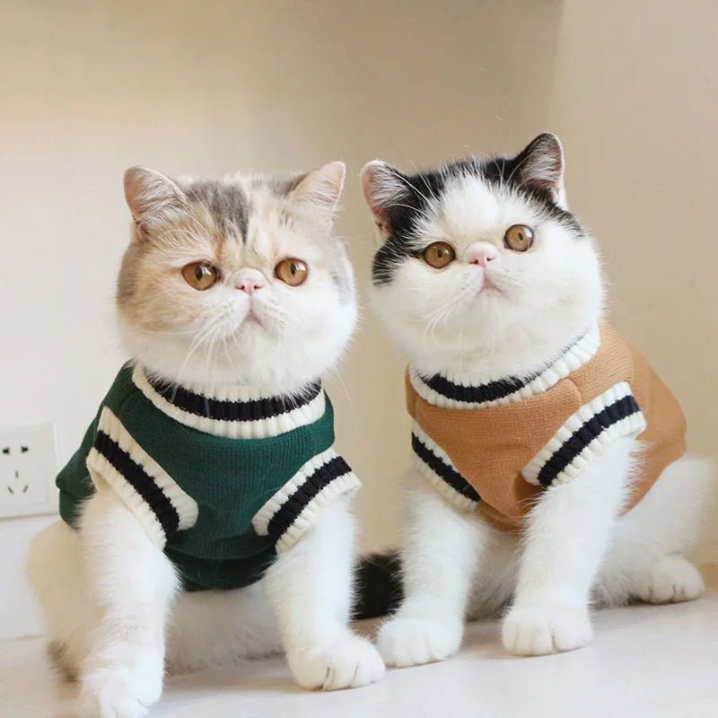 Gentle Paws™ V-Neck Pullover