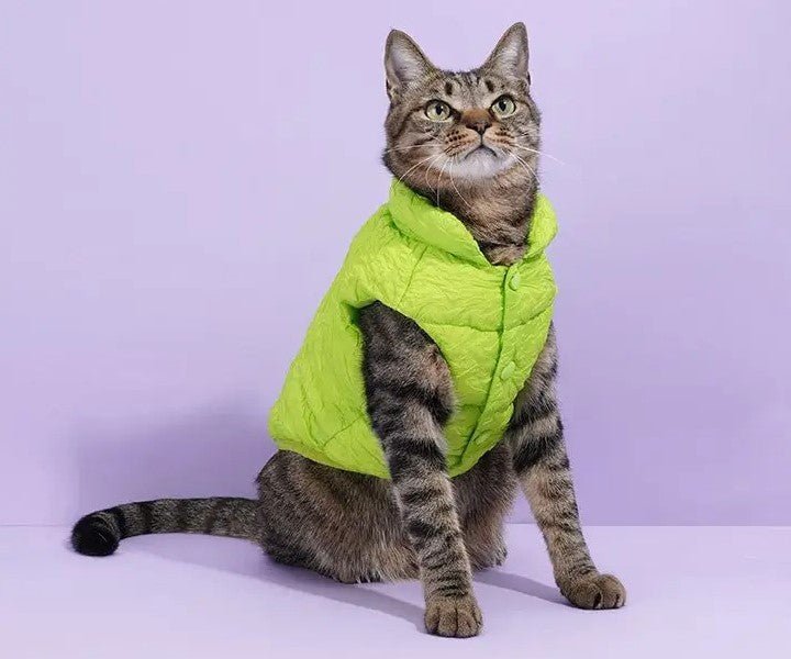 Gentle Paws™ Winter Jacket