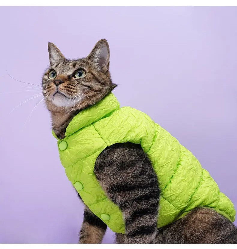 Gentle Paws™ Winter Jacket