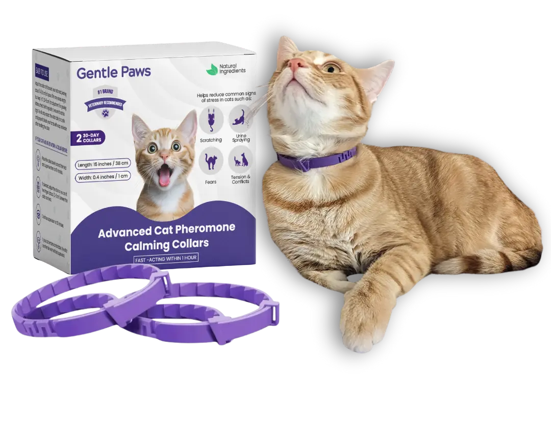 Stunning Cat Calming Collars With Passion Flower image