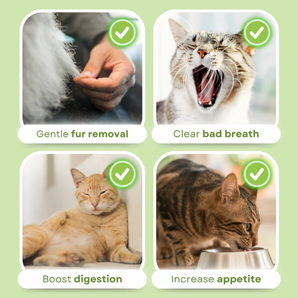 Cat Grass Teething Stick (6-Pack)