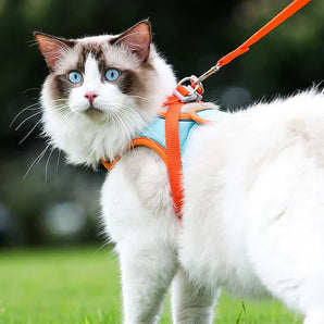 No-Escape Cat Harness & Leash